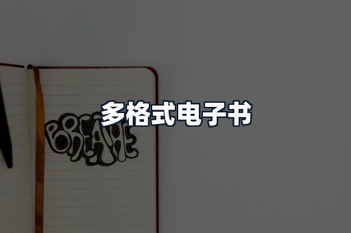 多格式电子书